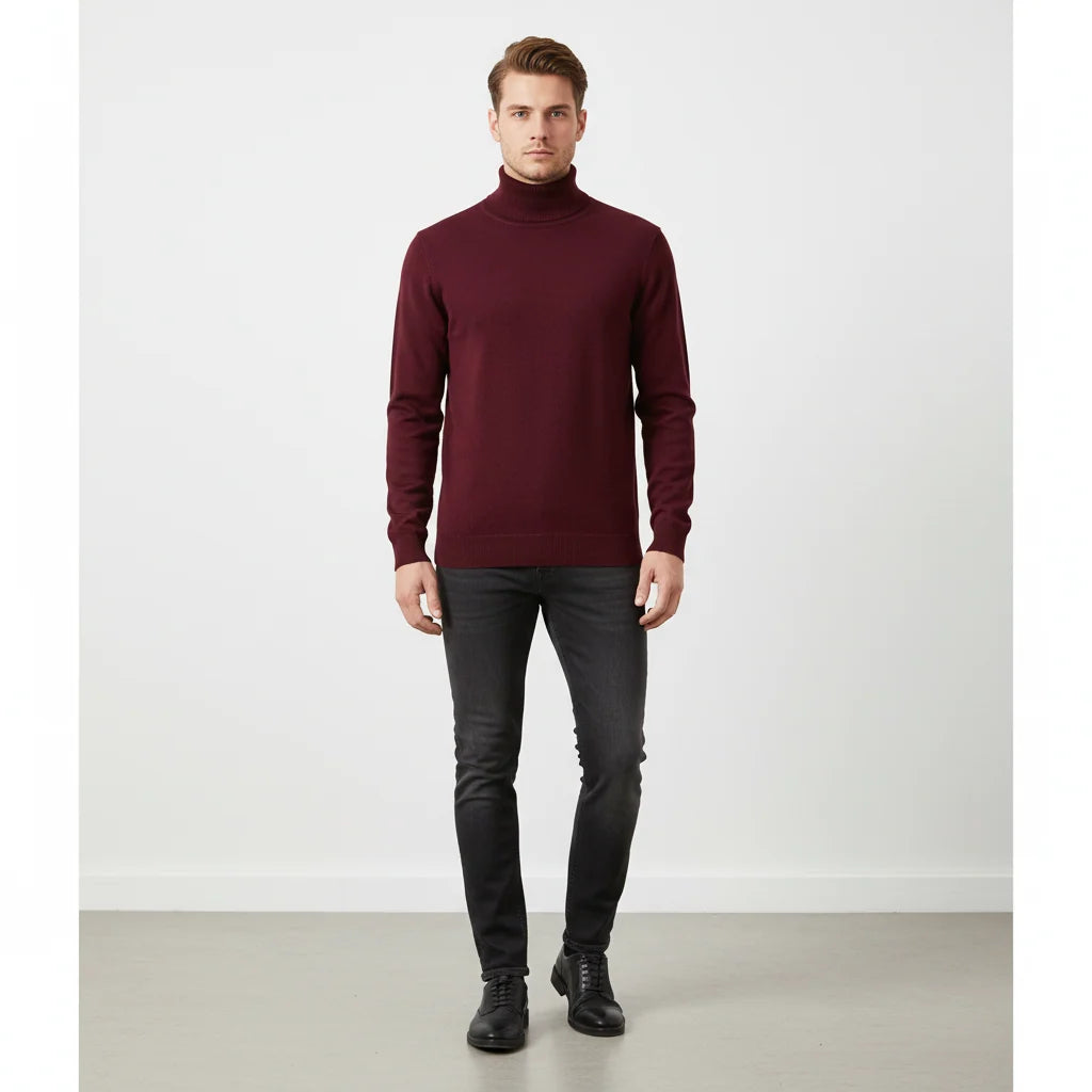 Men's Fine Mesh Knit Turtleneck Sweater with Ribbed Trim 3
